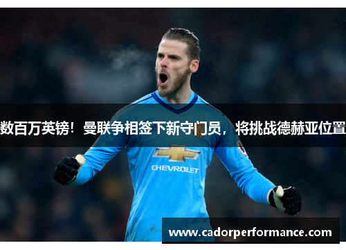 数百万英镑!曼联争相签下新守门员,将挑战德赫亚位置
